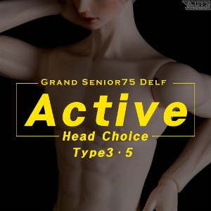 娃娃 Grand Senior Delf  Type3, Type5  Active ver Limited Head Choice